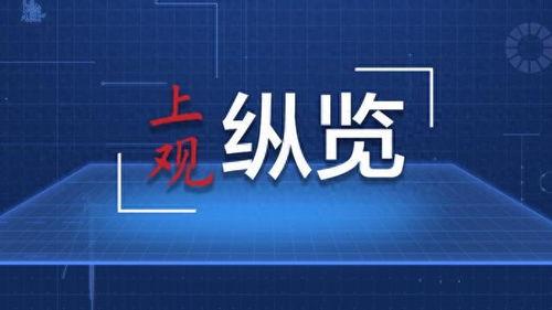 贸易额不断增加 商品服务愈发多元 中非经贸关系展现强劲韧性与活力