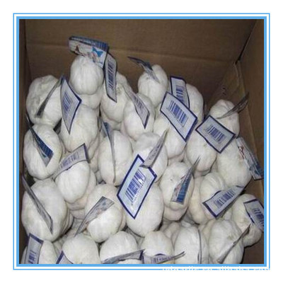 【供应2013年优质出口级纯白大蒜,各种规格,有自己工厂】价格,厂家,图片,葱姜蒜类,金乡县远大伟业进出口贸易-