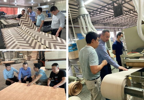 打造国际板材品牌 帝森元福广东工厂正式成立